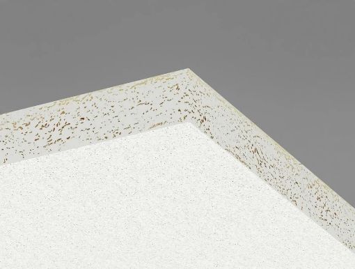 Ripplaeplaat Ecophon Hygiene Perfomance A T24 20x600x600 pilt