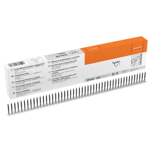Kipsikruvi Fermacell lindil 3,9x40mm 1000tk pilt