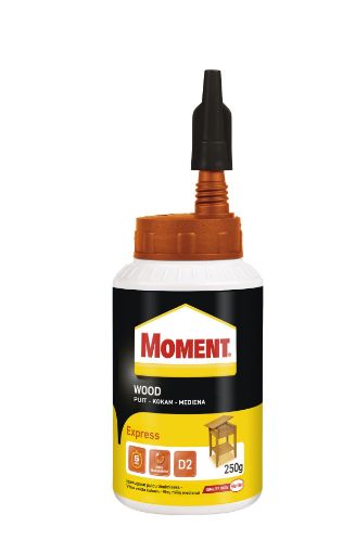 Puiduliim Moment Express 250g pilt