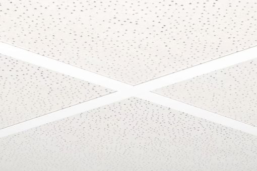 Ripplaeplaat akustika AMF-Ecomin Filigran 1200x600x13 pilt