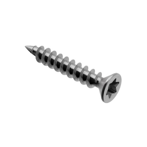 Kinnituskruvi M4x25 A2 Torx (100tk) pilt