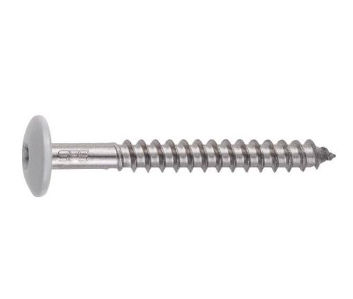 Fassaadikruvi TW-S-D12 4,8x38 RAL9002 250tk pilt