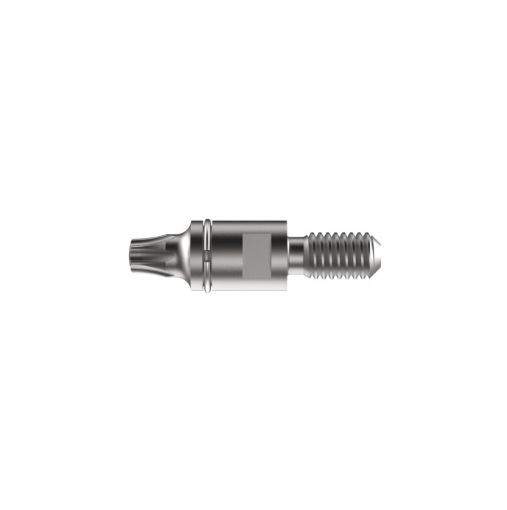 SFS Otsik T25-32-M6 RING, 1 tk pilt