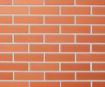 Tellis Lode Janka F1 I sort 250x120x65 pilt