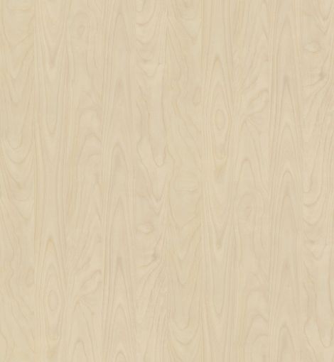 Melamiinplaat Jerusalem Pine R55064 FL 2655x2100x18mm pilt