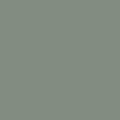 PrimeBoard P2 Reed Green U19024 XT/VV 19x2800x2100 pilt